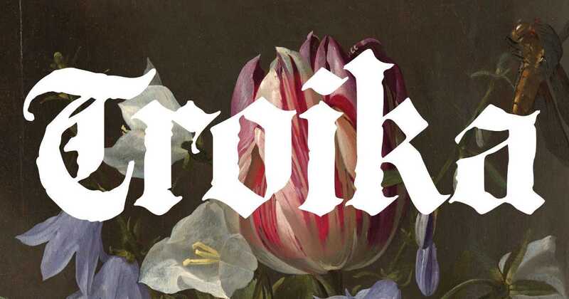 Troika presenteert in Django ✨ op zoek naar vruchtbare grond